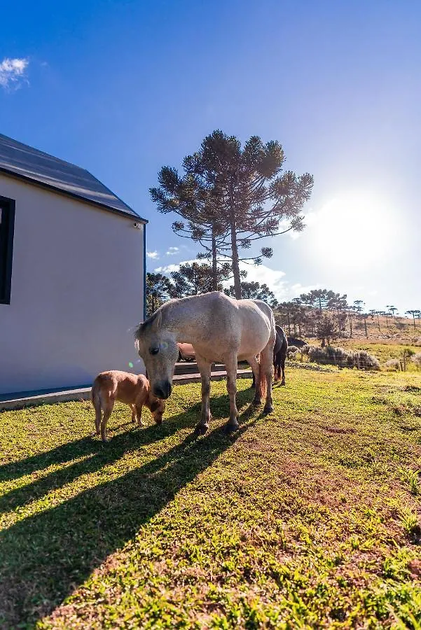 Lodge Morada Reino Encantado São Joaquim