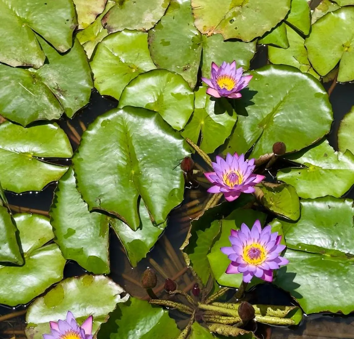 Lodge Morada Reino Encantado São Joaquim Brasil